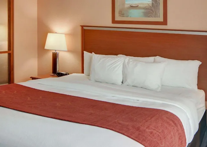 Quality Suites Near Cedar Creek Lake